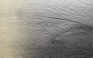 Podlaha vinylová plovoucí Click Javor Davis (4+1mm) VIN in
