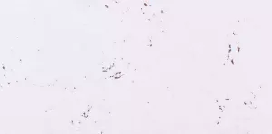 Korkový stěnový dekorativní obklad Decorative Snow