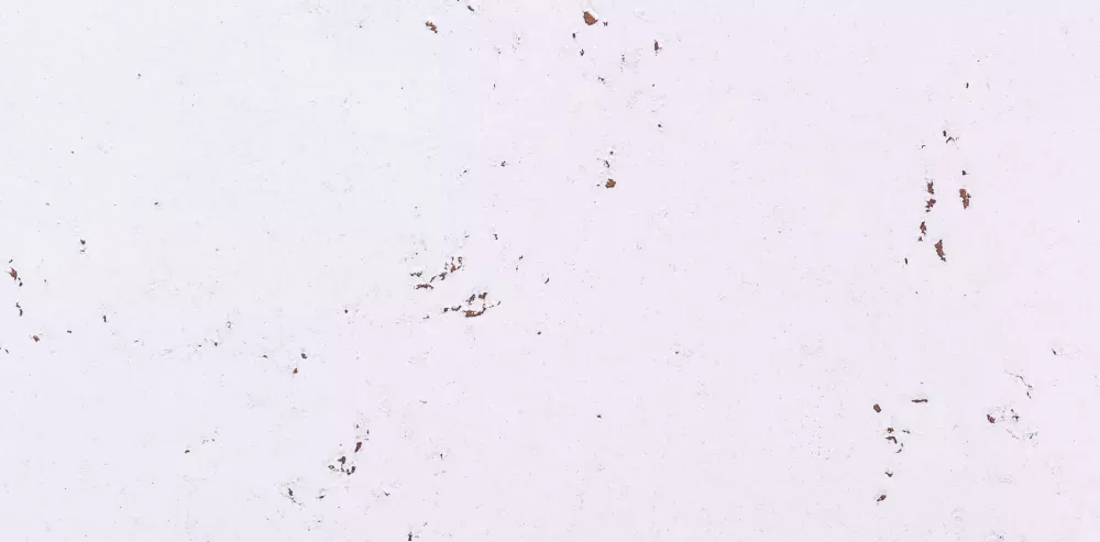 Korkový stěnový dekorativní obklad Decorative Snow Korex