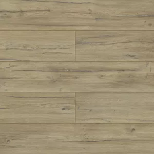 Laminátová plovoucí podlaha Dub Condor 8mm AC5