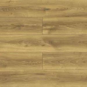 Laminátová plovoucí podlaha Dub Falcon 8mm AC5