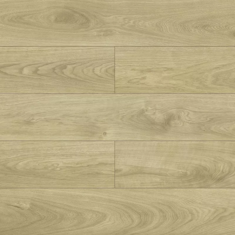 Laminátová plovoucí podlaha Dub Hawk 8mm AC5 Swiss Krono