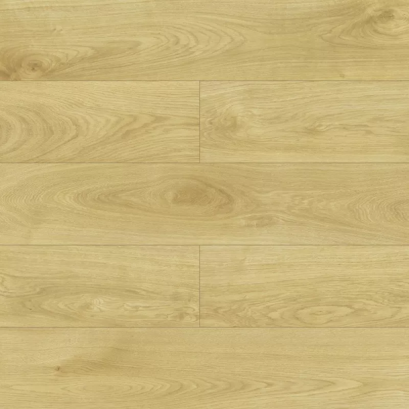 Laminátová plovoucí podlaha Dub Lark 8mm AC5 Swiss Krono